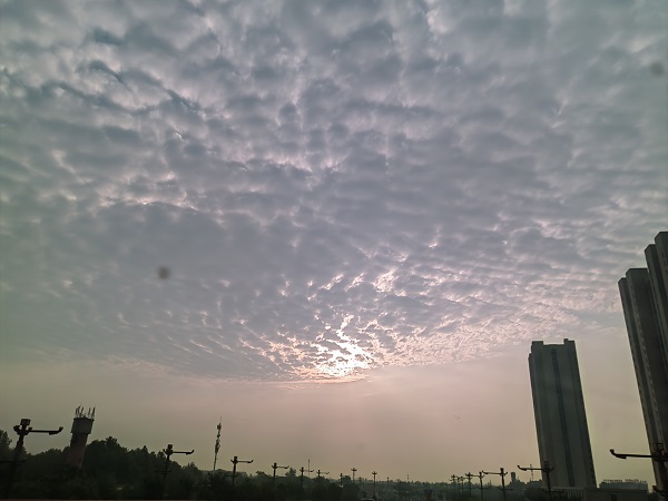 image1.jpeg